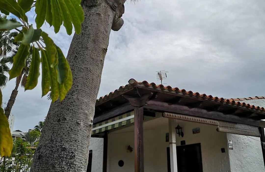Casa Celi-1
